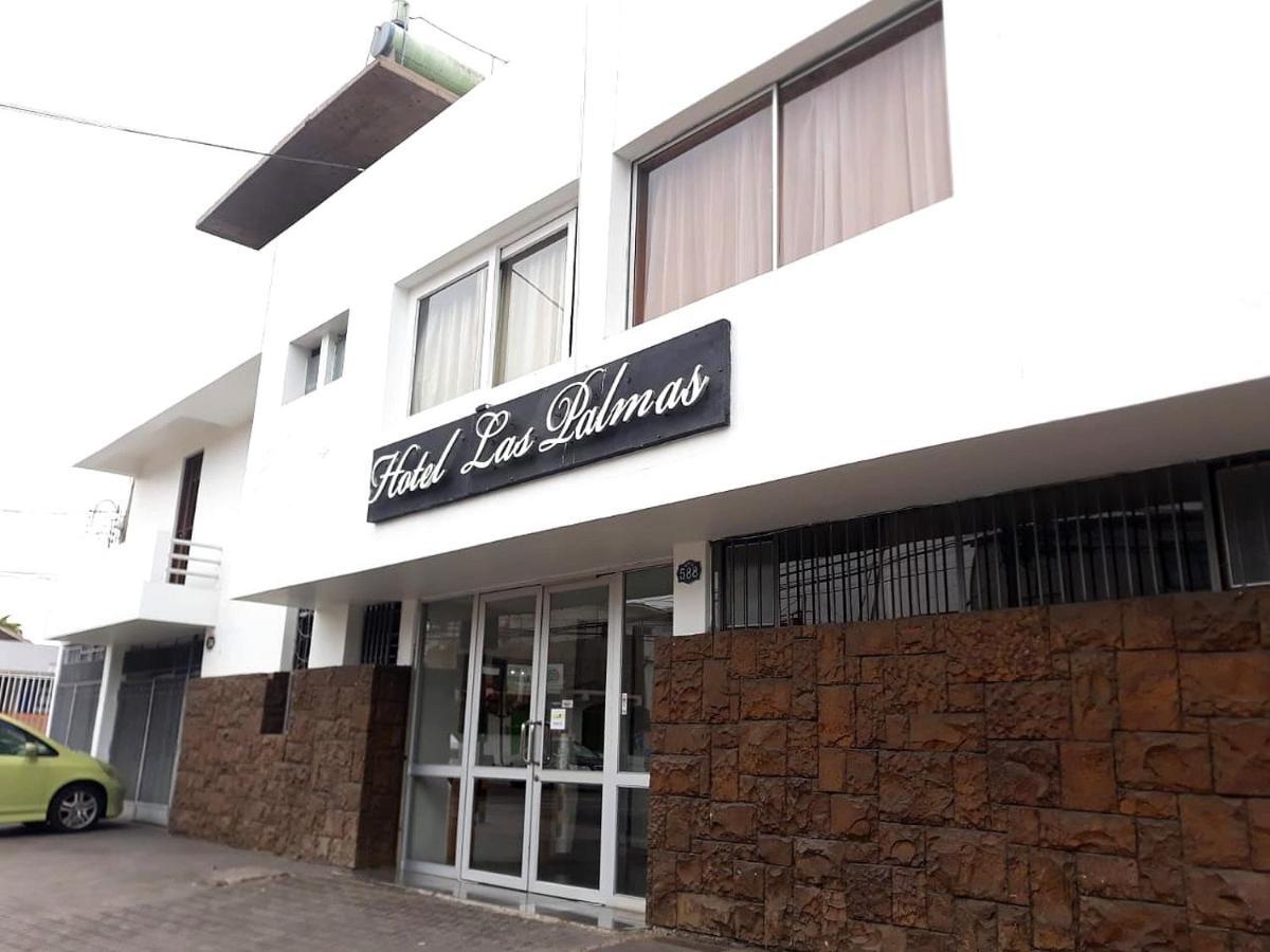 Hotel Las Palmas Arica Exterior foto